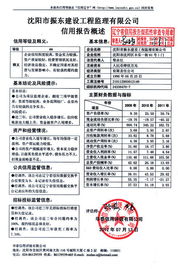 沈陽(yáng)市振東建設(shè)工程監(jiān)理有限公司 專(zhuān)業(yè)護(hù)航，鑄就精品工程